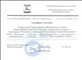 Сертификат участника Карасукских Рождественских образовательных чтений